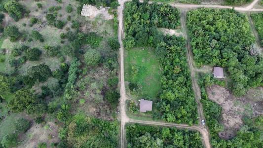 Belmopan, Cayo 00001, Belize