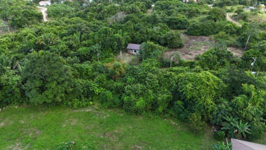 Belmopan, Cayo 00001, Belize