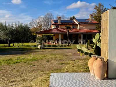 Via Fonte della Tartaruga, Rome, Lazio 00069, איטליה