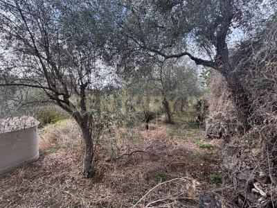Misterbianco, Sicilia 95045, Italy