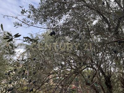 Misterbianco, Sicilia 95045, Italy