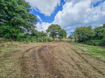 Via Monte Rosa, Semproniano, Toscana 58055, Italia