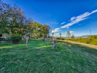 Località Scovaventi, Semproniano, Toscana 58055, Italien