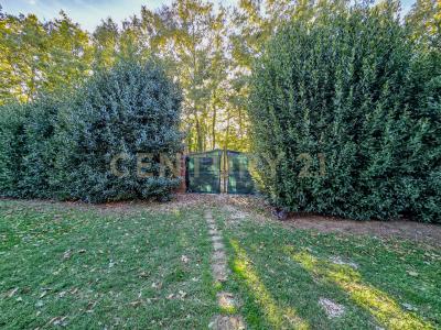 Località Scovaventi, Semproniano, Toscana 58055, Italien