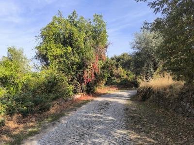 Chaves, Vila Real 5400-756, Portugal