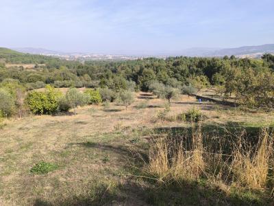 Chaves, Vila Real 5400-756, Portugal