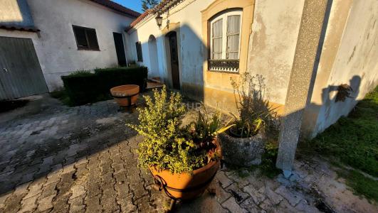 Vila Nova Da Barquinha, Santarem 2260-543, Portugal