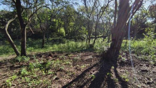 tarumandy , Luque, Central 00001, Paraguay