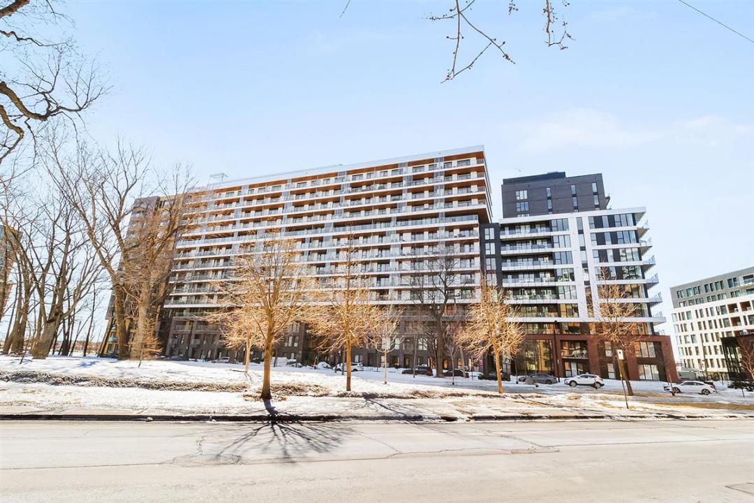 170 Rue Rioux, Montréal (Le Sud-Ouest), 퀘벡주 H3C 0X3, 캐나다