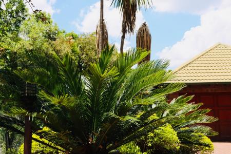 Randburg, Gauteng, Republika Południowej Afryki