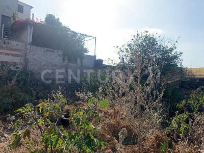 Rio Conca s/n,, San Juan Del Río, Querétaro 76806, Mexico