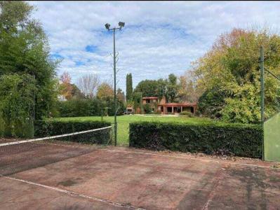 24 entre 403 y 405 s/n, La Plata, GBA Sur 00001, Argentina