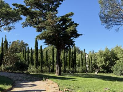 St Tropez, Provence-Alpes-Côte D'Azur 83990, Francia