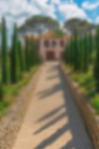 St Tropez, Provence-Alpes-Côte D'Azur 83990, Francia