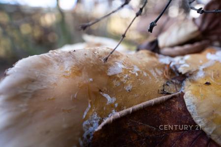 Panoší Újezd, Rakovník 27021, République Tchèque