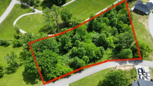 Lot 2 & 3 Joe Lewis Road, Somerset, Kentucky 42503, USA