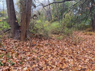 252 Milltown Road, Brewster, Nueva York 10509, Estados Unidos