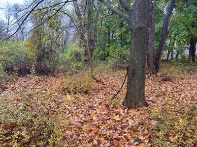 252 Milltown Road, Brewster, Nueva York 10509, Estados Unidos