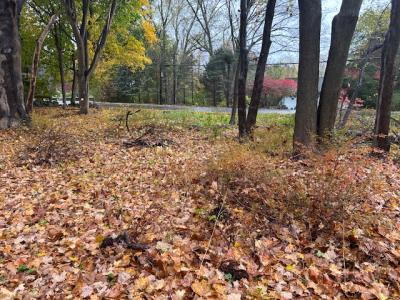 252 Milltown Road, Brewster, Nueva York 10509, Estados Unidos