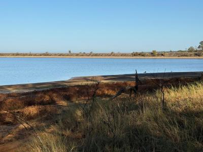 L9631 CR 467, Etoile, Texas 75944, USA