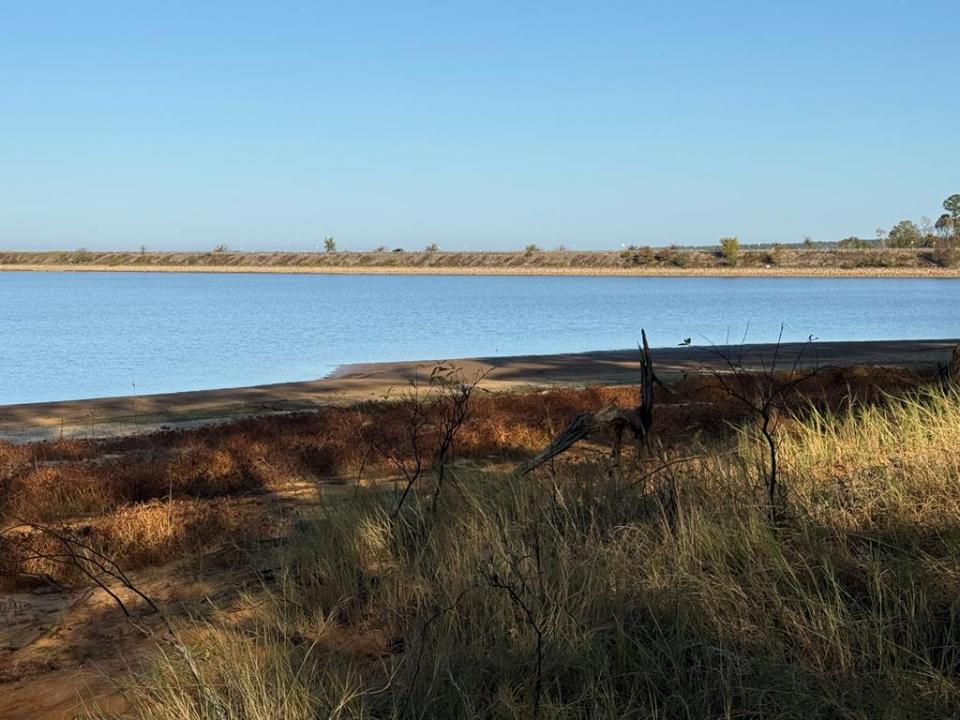 L9631 CR 467, Etoile, 德克薩斯州 75944, 美國