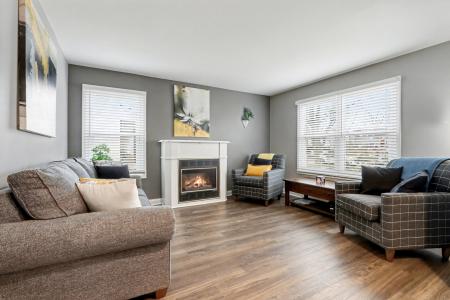 20012 S Rosewood Drive, Frankfort, Illinois 60423, Stati Uniti