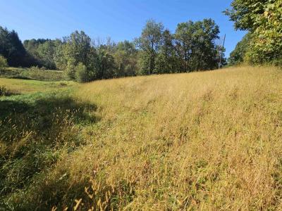 E9088 State Hwy 82, Viroqua, Wisconsin 54665, USA