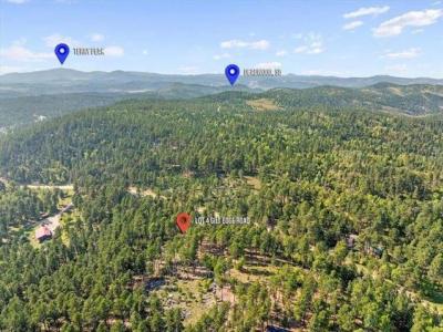 11795 Gilt Edge Rd, Deadwood, 南達科他州 57732, 美國
