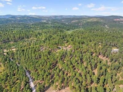 11795 Gilt Edge Rd, Deadwood, 南達科他州 57732, 美國