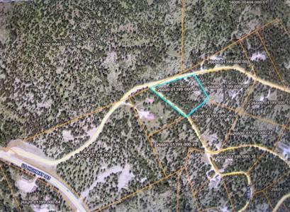 11795 Gilt Edge Rd, Deadwood, 南達科他州 57732, 美國