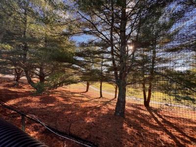 31 Reservoir Ave, Lakeville, Massachusetts 02347