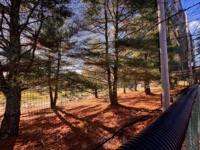 31 Reservoir Ave, Lakeville, Massachusetts 02347