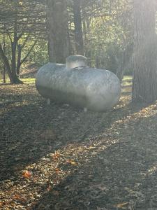 37 Park Circle, Evening Shade, Arkansas 72532