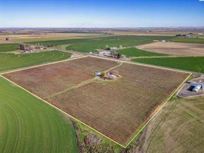 11201 Taylor Flats Road, Pasco, Washington 99301