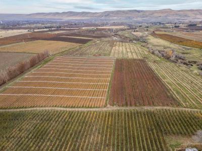 14306/11816 W Acord Road, Benton City, Washington 99320, HOA KỲ