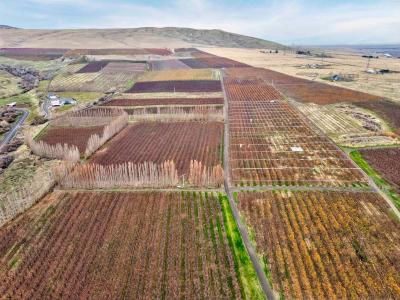 14306/11816 W Acord Road, Benton City, 华盛顿州 99320, 美国