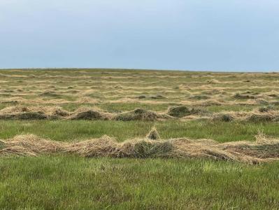 HWY 23, Rural Foothills County, Alberta T0L 0J0, Canada