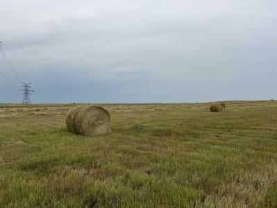 HWY 23, Rural Foothills County, Alberta T0L 0J0, Canada