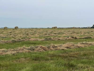 HWY 23, Rural Foothills County, Alberta T0L 0J0, Canada