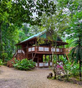 Stann Creek District, Stann Creek 00001, Belize