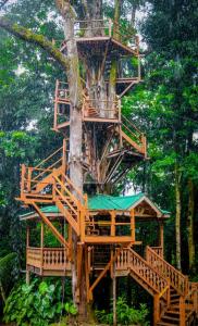 Stann Creek District, Stann Creek 00001, Belize