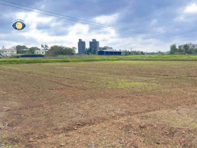 山下段, 中壢區, Taoyuan City 320, Taiwan