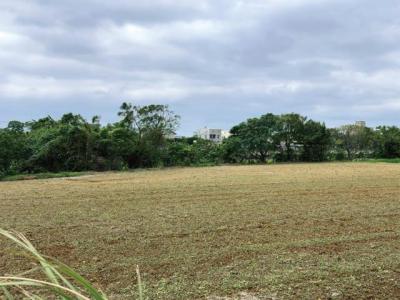 山下段, 中壢區, Đào Viên 320, Đài Loan