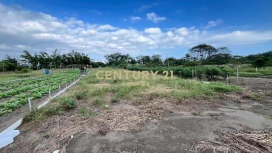 永安段, Суао, Илань 270, Тайвань