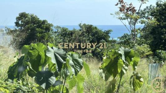 北橋段, Taimali Township, Taitung County 963, Taiwan