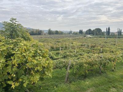 Via Turano, Lavagno, Veneto 37030, Italy