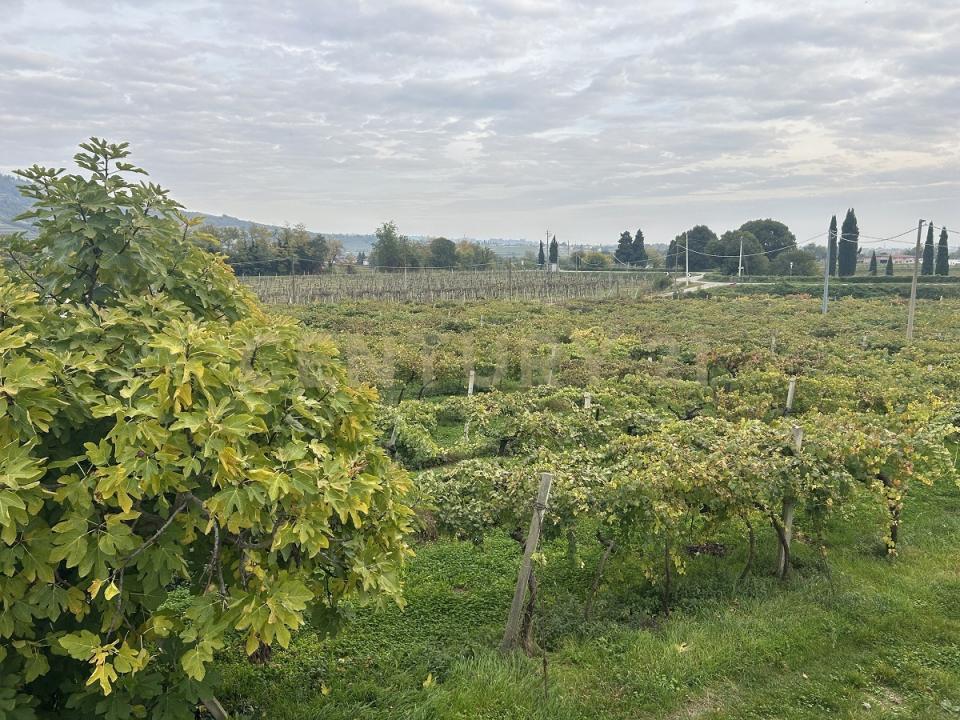Via Turano, Lavagno, Veneto 37030, Italy
