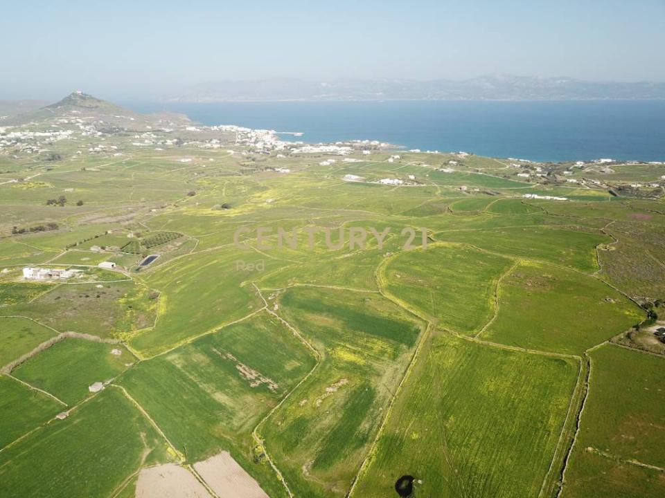 Paros, Cyclades, Grèce
