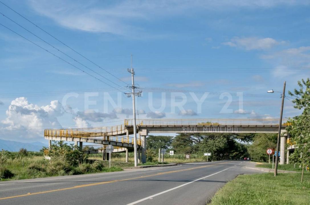 Palmira, Valle Del Cauca 00001, Kolumbia