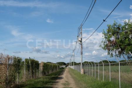 Palmira, Valle Del Cauca 00001, Kolumbia
